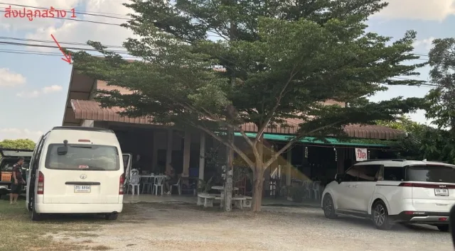 ขายทอดตลาด ที่ดินพร้อมสิ่งปลูกสร้าง ต.วังหมัน อ.สามเงา จ.ตาก