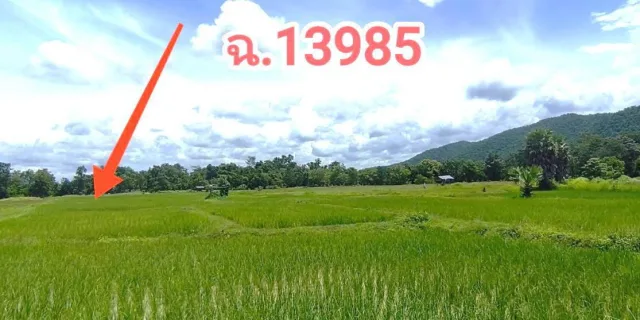 ขายทอดตลาด ที่ดินว่างเปล่า ต.ยกกระบัตร อ.สามเงา จ.ตาก