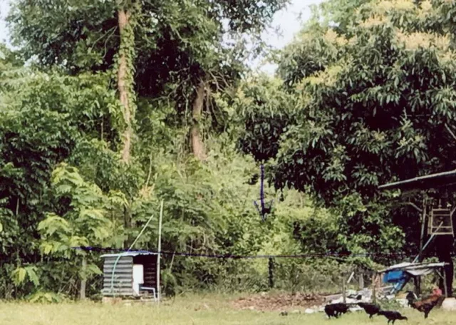 ขายทอดตลาด ที่ดินว่างเปล่า ต.วังหิน อ.เมืองตาก จ.ตาก