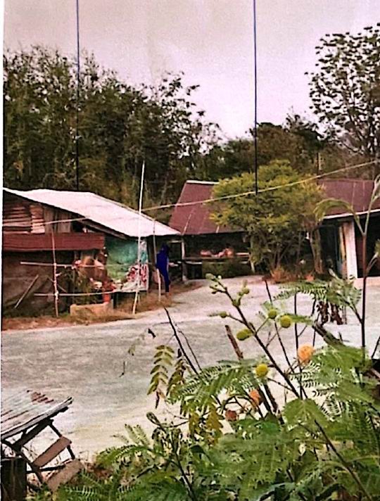 ขายทอดตลาด ที่ดินพร้อมสิ่งปลูกสร้าง ต.ห้วยม่วง อ.กำแพงแสน จ.นครปฐม