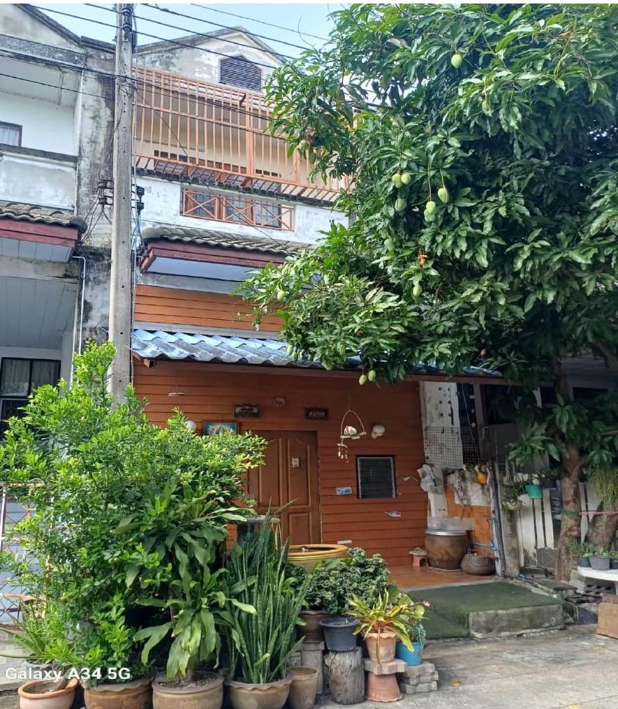 ขายทอดตลาด ที่ดินพร้อมสิ่งปลูกสร้าง ต.ท่าตลาด อ.สามพราน จ.นครปฐม