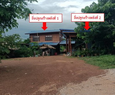 ขายทอดตลาด ที่ดินพร้อมสิ่งปลูกสร้าง ต.วังตามัว อ.เมืองนครพนม จ.นครพนม