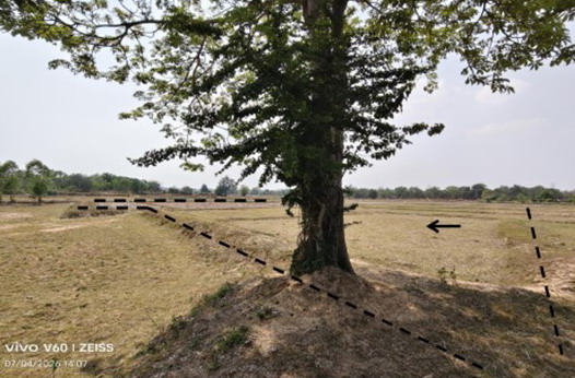 ขายทอดตลาด ที่ดินว่างเปล่า ต.น้ำก่ำ อ.ธาตุพนม จ.นครพนม