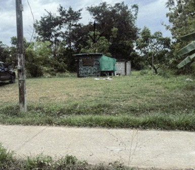 ขายทอดตลาด ที่ดินพร้อมสิ่งปลูกสร้าง ต.ขามเฒ่า อ.เมืองนครพนม จ.นครพนม