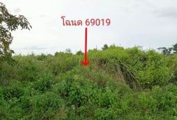 ขายทอดตลาด ที่ดินว่างเปล่า ต.ลำคอหงษ์ อ.โนนสูง จ.นครราชสีมา