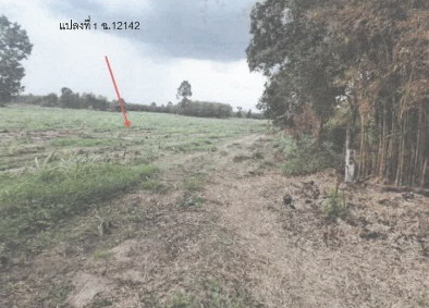 ขายทอดตลาด ที่ดินว่างเปล่า ต.บัวขาว อ.กุฉินารายณ์ จ.กาฬสินธุ์