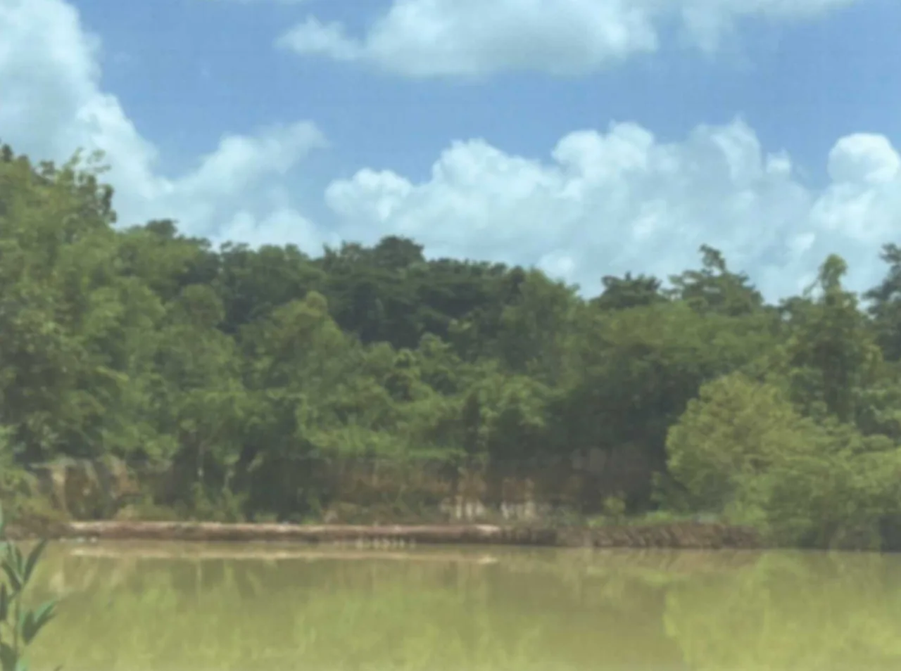ขายทอดตลาด ที่ดินว่างเปล่า ต.ฝั่งแดง อ.ธาตุพนม จ.นครพนม