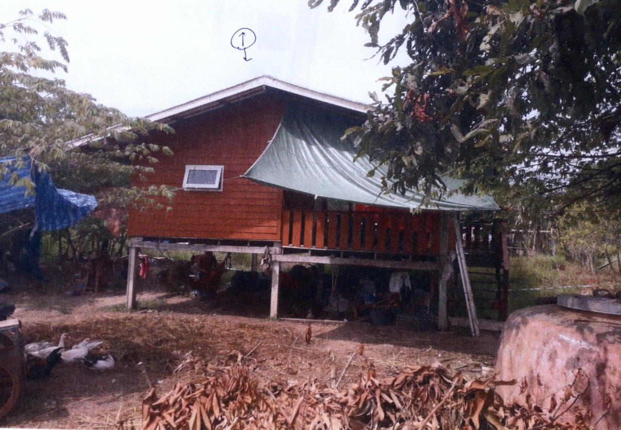 ขายทอดตลาด ที่ดินพร้อมสิ่งปลูกสร้าง ต.โคกสูง อ.ปลาปาก จ.นครพนม