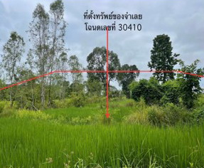 ขายทอดตลาด ที่ดินว่างเปล่า ต.น้ำก่ำ อ.ธาตุพนม จ.นครพนม