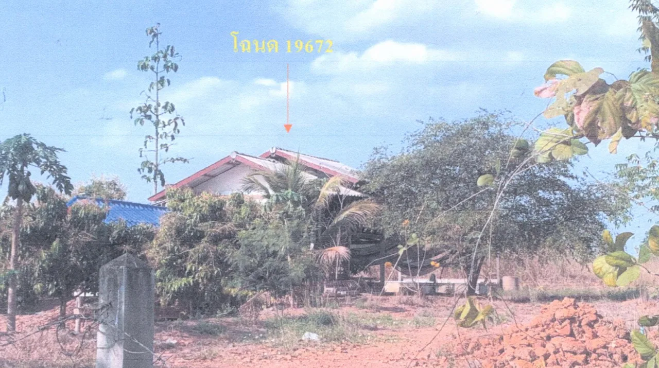 ขายทอดตลาด ที่ดินพร้อมสิ่งปลูกสร้าง ต.หนองแวง อ.บ้านแพง จ.นครพนม