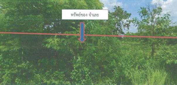 ขายทอดตลาด ที่ดินว่างเปล่า ต.คำเตย อ.เมืองนครพนม จ.นครพนม