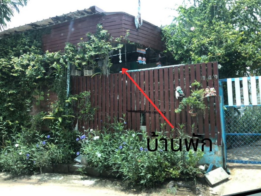 ขายทอดตลาด ที่ดินพร้อมสิ่งปลูกสร้าง ต.ขามสะแกแสง อ.ขามสะแกแสง จ.นครราชสีมา