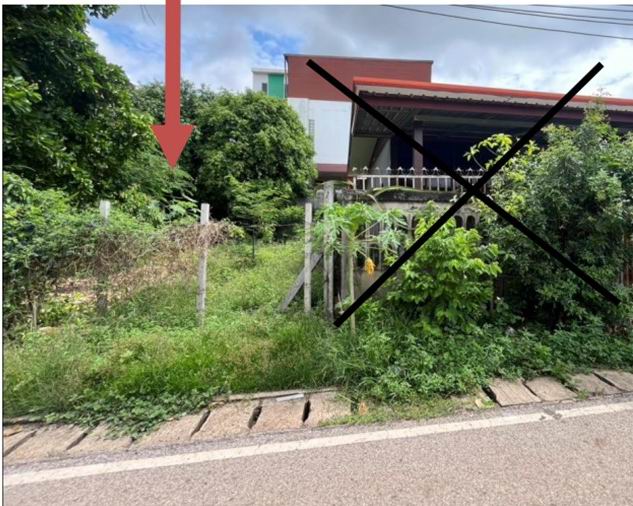 ขายทอดตลาด ที่ดินว่างเปล่า ต.ศรีสงคราม อ.ศรีสงคราม จ.นครพนม