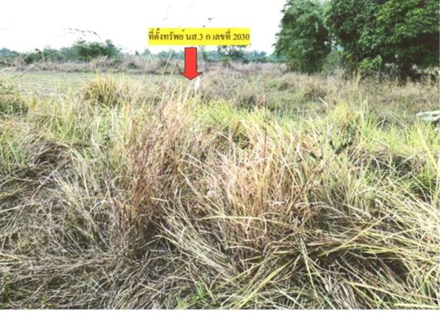 ขายทอดตลาด ที่ดินว่างเปล่า ต.รามราช อ.ท่าอุเทน จ.นครพนม