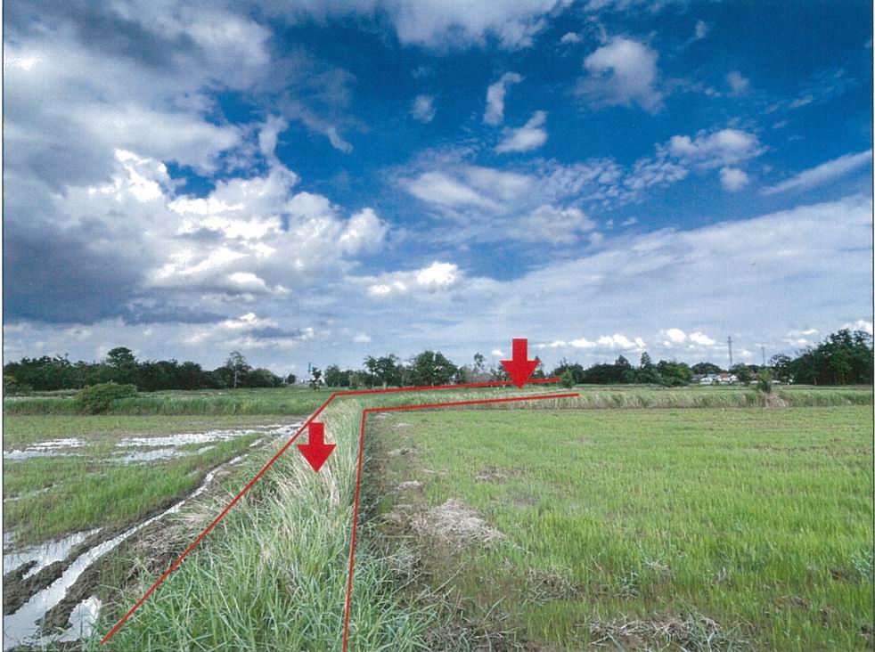 ขายทอดตลาด ที่ดินว่างเปล่า ต.เมืองปัก อ.ปักธงชัย จ.นครราชสีมา