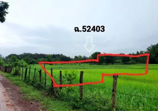 รูปทรัพย์ 3