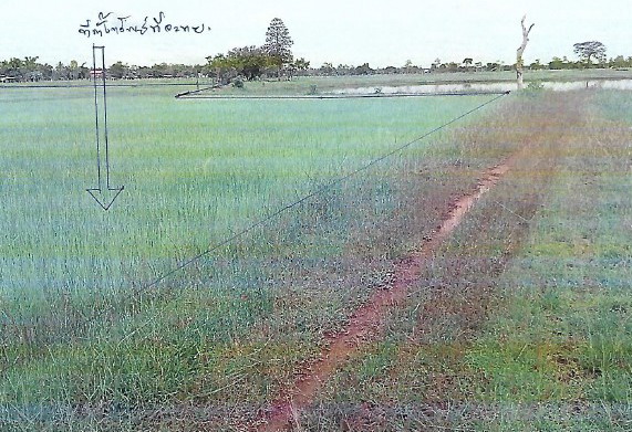 ขายทอดตลาด ที่ดินว่างเปล่า ต.นางาม อ.เรณูนคร จ.นครพนม