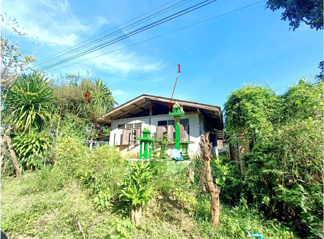 ขายทอดตลาด ที่ดินพร้อมสิ่งปลูกสร้าง ต.เฉลียง อ.ครบุรี จ.นครราชสีมา