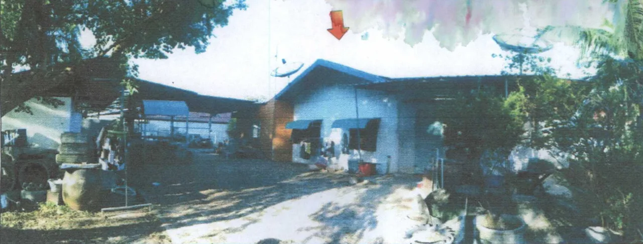 ขายทอดตลาด ที่ดินพร้อมสิ่งปลูกสร้าง ต.เรณู อ.เรณูนคร จ.นครพนม
