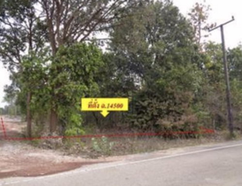 ขายทอดตลาด ที่ดินว่างเปล่า ต.เรณู อ.เรณูนคร จ.นครพนม
