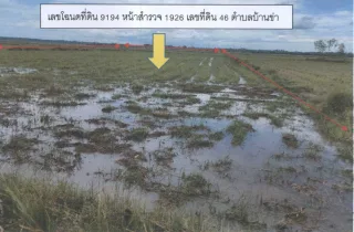รูปทรัพย์ 1