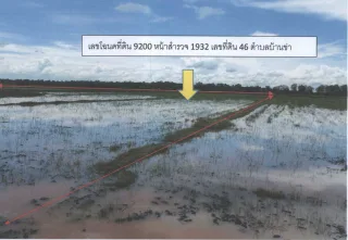 รูปทรัพย์ 2