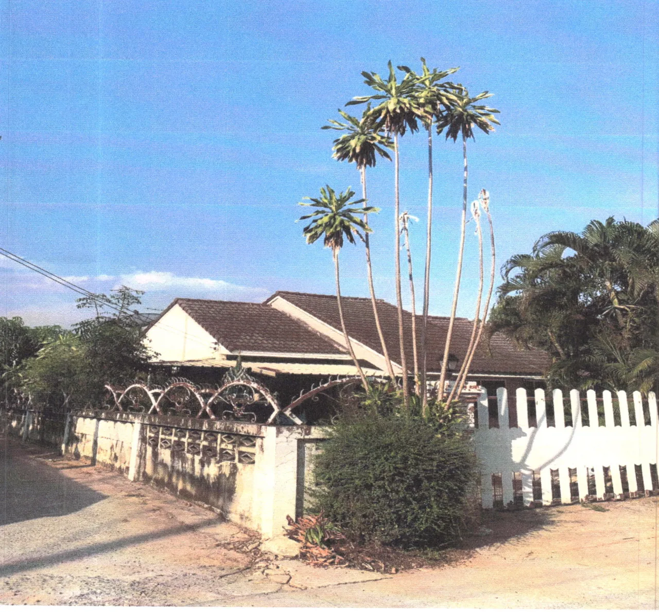 ขายทอดตลาด ที่ดินพร้อมสิ่งปลูกสร้าง ต.บึงอ้อ อ.ขามทะเลสอ จ.นครราชสีมา