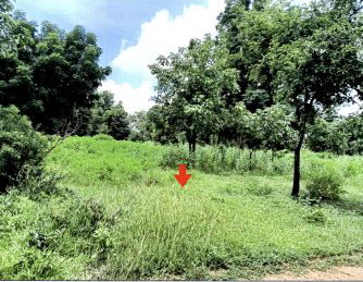 ขายทอดตลาด ที่ดินว่างเปล่า ต.ธงชัยเหนือ อ.ปักธงชัย จ.นครราชสีมา