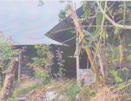 ขายทอดตลาด ที่ดินพร้อมสิ่งปลูกสร้าง ต.แจนแลน อ.กุฉินารายณ์ จ.กาฬสินธุ์