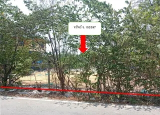 รูปทรัพย์ 3