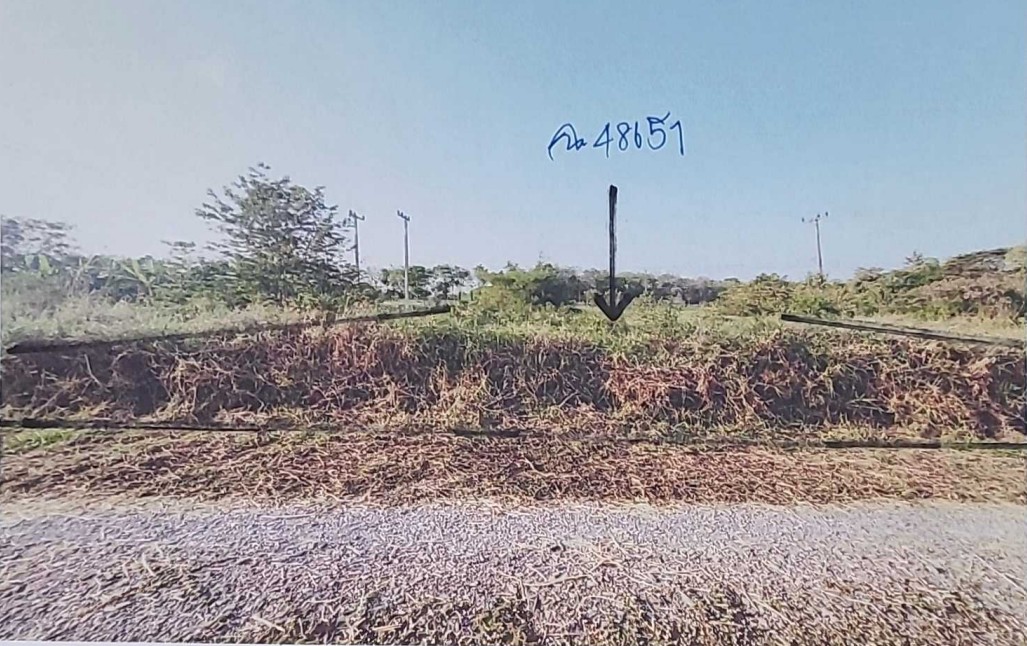 ขายทอดตลาด ที่ดินว่างเปล่า ต.บางไทรป่า อ.บางเลน จ.นครปฐม