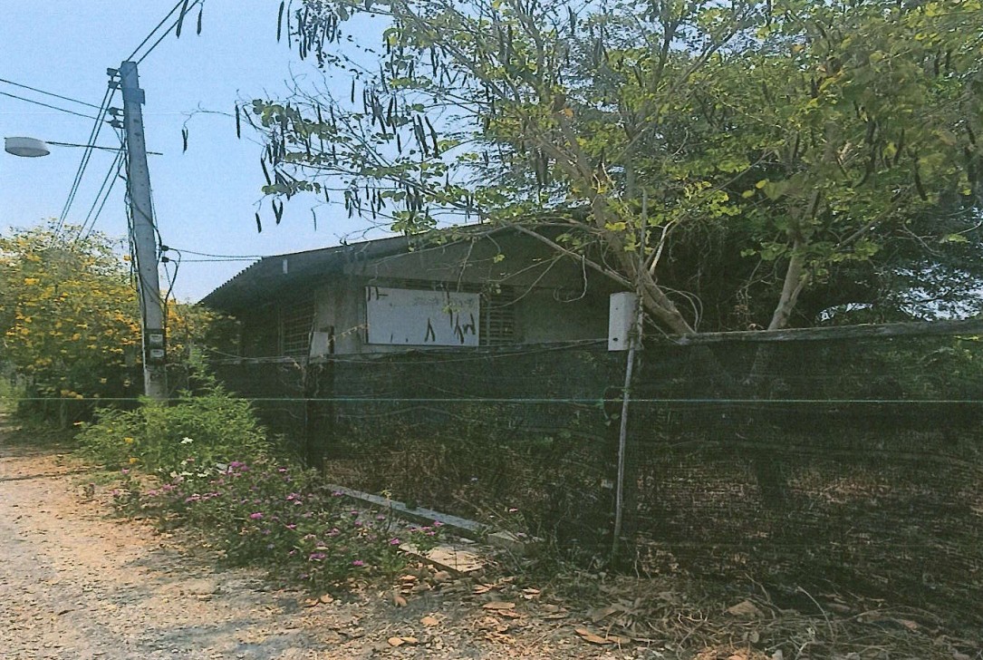 ขายทอดตลาด ที่ดินพร้อมสิ่งปลูกสร้าง ต.ห้วยม่วง อ.กำแพงแสน จ.นครปฐม