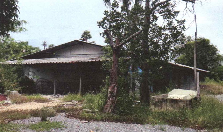 ขายทอดตลาด ที่ดินพร้อมสิ่งปลูกสร้าง ต.แหลมบัว อ.นครชัยศรี จ.นครปฐม