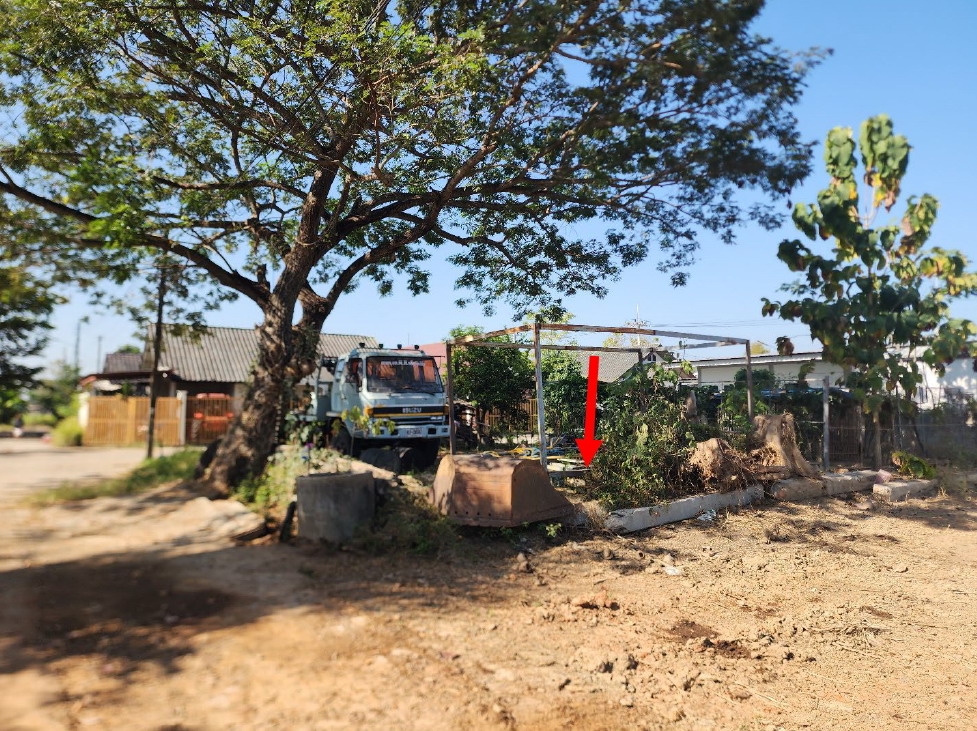ขายทอดตลาด ที่ดินว่างเปล่า ต.ขุนคง อ.หางดง จ.เชียงใหม่
