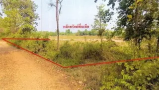 รูปทรัพย์ 1