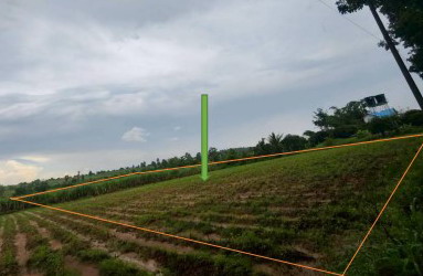 ขายทอดตลาด ที่ดินว่างเปล่า ต.ภูปอ อ.เมืองกาฬสินธุ์ จ.กาฬสินธุ์