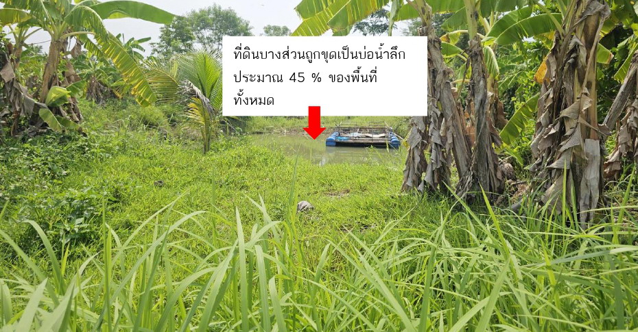 ขายทอดตลาด ที่ดินพร้อมสิ่งปลูกสร้าง ต.ทรายมูล อ.สันกำแพง จ.เชียงใหม่