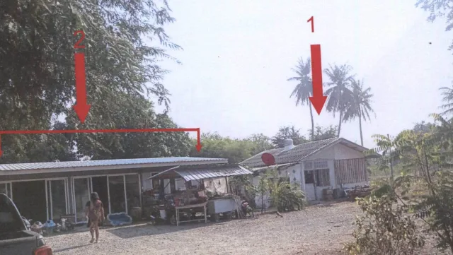 ขายทอดตลาด ที่ดินพร้อมสิ่งปลูกสร้าง ต.หัวถนน อ.ท่าตะโก จ.นครสวรรค์
