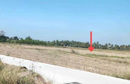 ขายทอดตลาด ที่ดินว่างเปล่า ต.งิ้ว อ.ปักธงชัย จ.นครราชสีมา