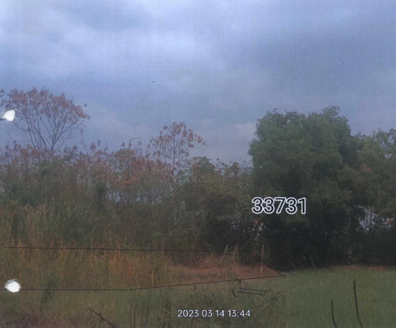 ขายทอดตลาด ที่ดินว่างเปล่า ต.หนองเพรางาย อ.ไทรน้อย(บางบัวทอง) จ.นนทบุรี