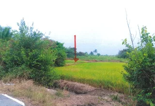 รูปทรัพย์ 3