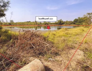 รูปทรัพย์ 2