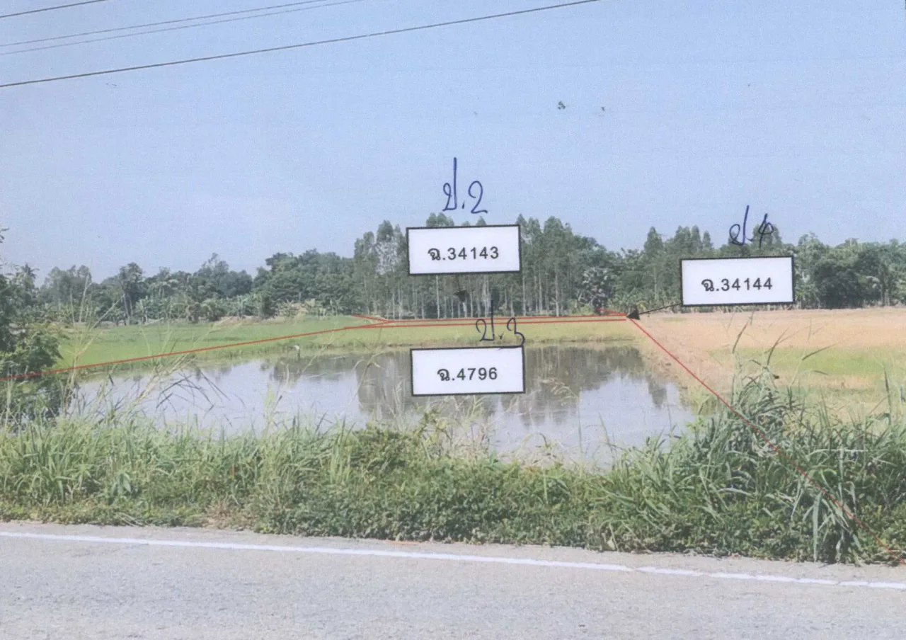 ขายทอดตลาด ที่ดินว่างเปล่า ต.ฆะมัง อ.ชุมแสง จ.นครสวรรค์
