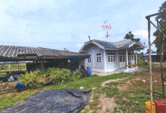 ขายทอดตลาด ที่ดินพร้อมสิ่งปลูกสร้าง ต.ม่วงหัก อ.พยุหะคีรี จ.นครสวรรค์