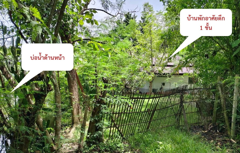ขายทอดตลาด ที่ดินพร้อมสิ่งปลูกสร้าง ต.สำราญราษฎร์ อ.ดอยสะเก็ด จ.เชียงใหม่