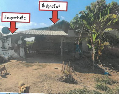 ขายทอดตลาด ที่ดินพร้อมสิ่งปลูกสร้าง ต.ยอดแกง อ.นามน จ.กาฬสินธุ์