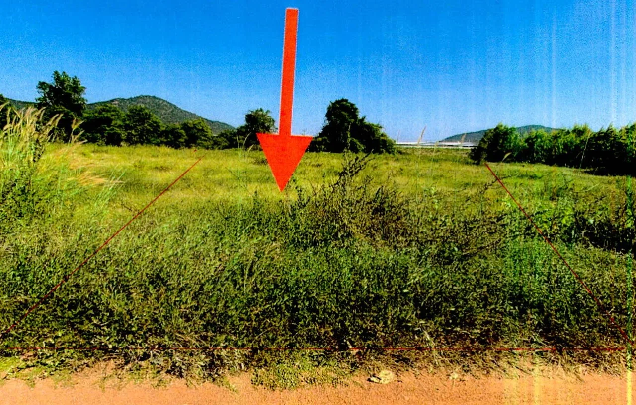 ขายทอดตลาด ที่ดินว่างเปล่า ต.หนองประดู่ อ.เลาขวัญ จ.กาญจนบุรี