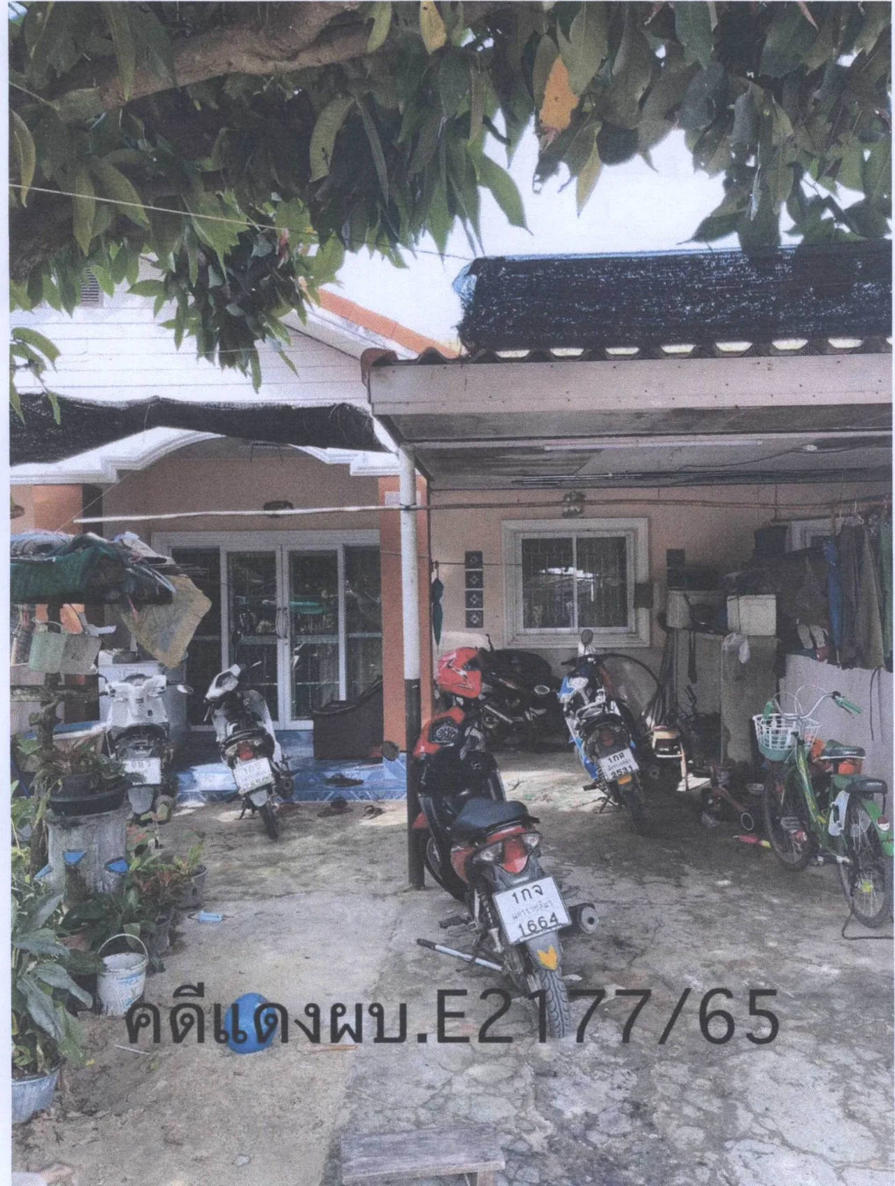 ขายทอดตลาด ที่ดินพร้อมสิ่งปลูกสร้าง ต.ธงชัยเหนือ อ.ปักธงชัย จ.นครราชสีมา