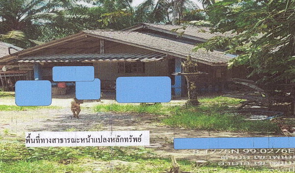 ขายทอดตลาด ที่ดินพร้อมสิ่งปลูกสร้าง ต.เขาพนม อ.เขาพนม จ.กระบี่