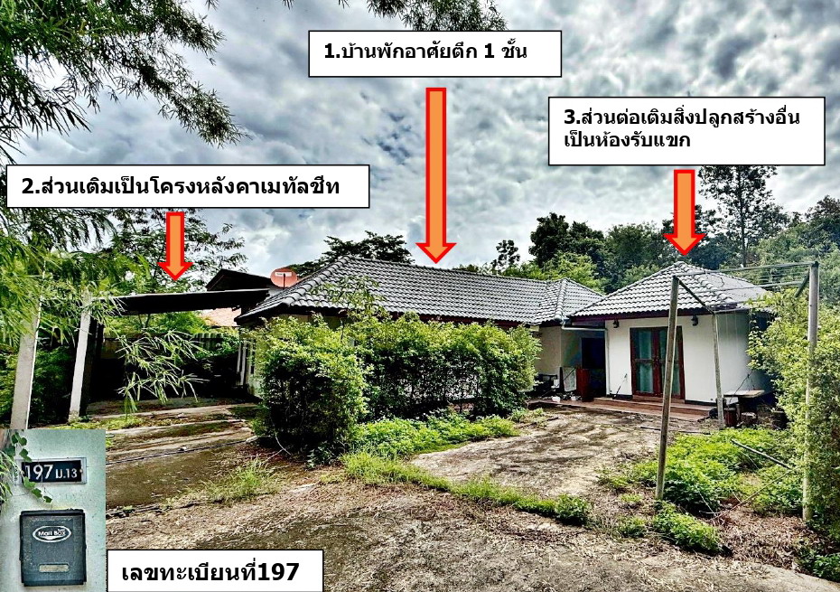 ขายทอดตลาด ที่ดินพร้อมสิ่งปลูกสร้าง ต.หนองหาร อ.สันทราย จ.เชียงใหม่